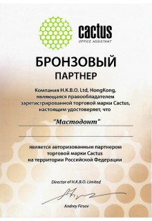 Cactus - бронзовый партнер