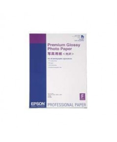 S042091 Бумага Epson Premium Glossy Photo Paper, A2, 255г/ м2 (25 л.)