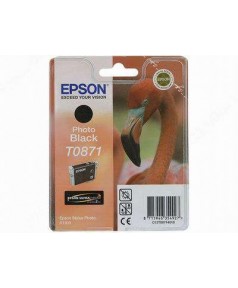 T0871 / T08714010 Картридж EPSON Stylus Photo  R1900 Photo Black (Ultra Chrome 2 Ink)